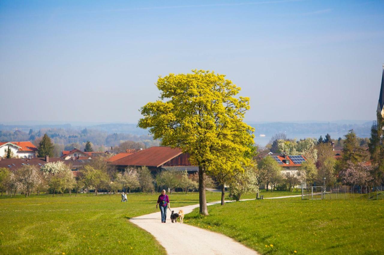 Zeitraumferien Leilighet Bernau am Chiemsee Eksteriør bilde